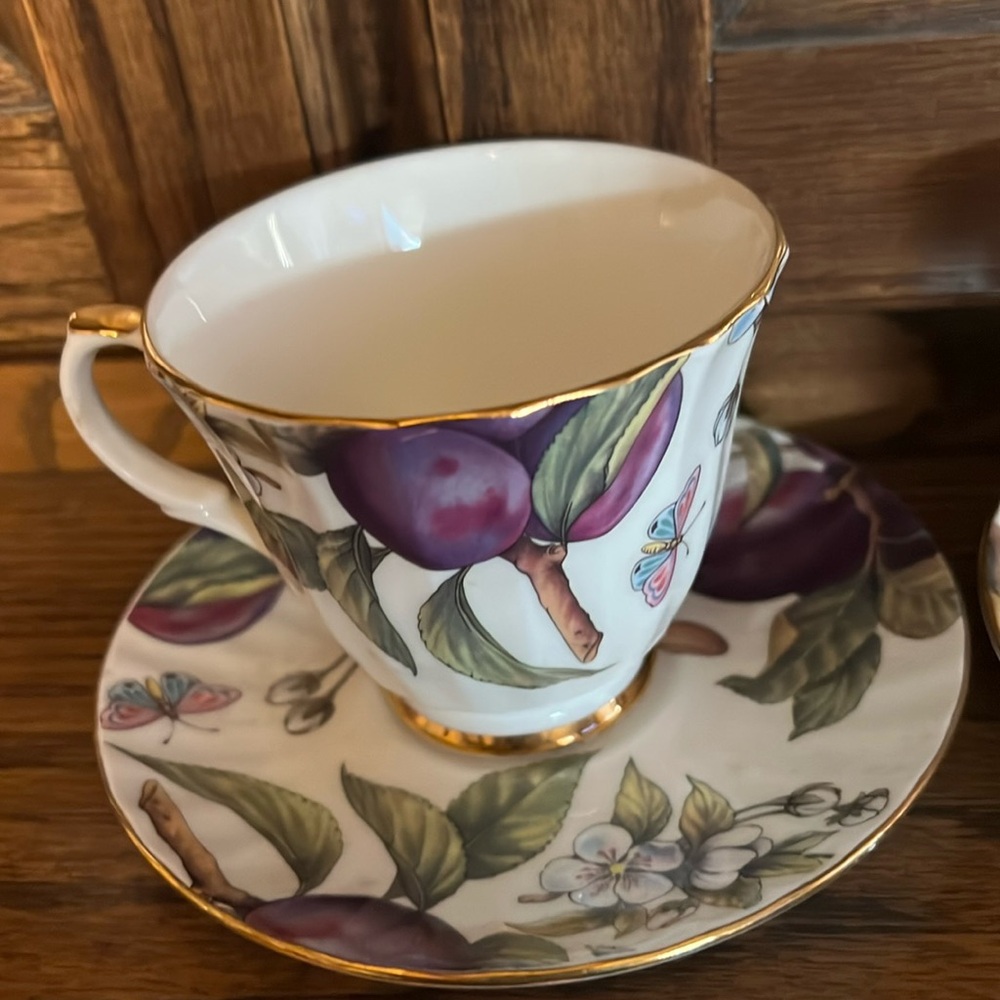 Butterfly Fruit Teacup and Saucer , Vintage Teacup , English Bone China Cups